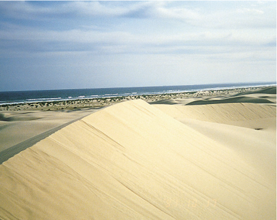 Sand Business